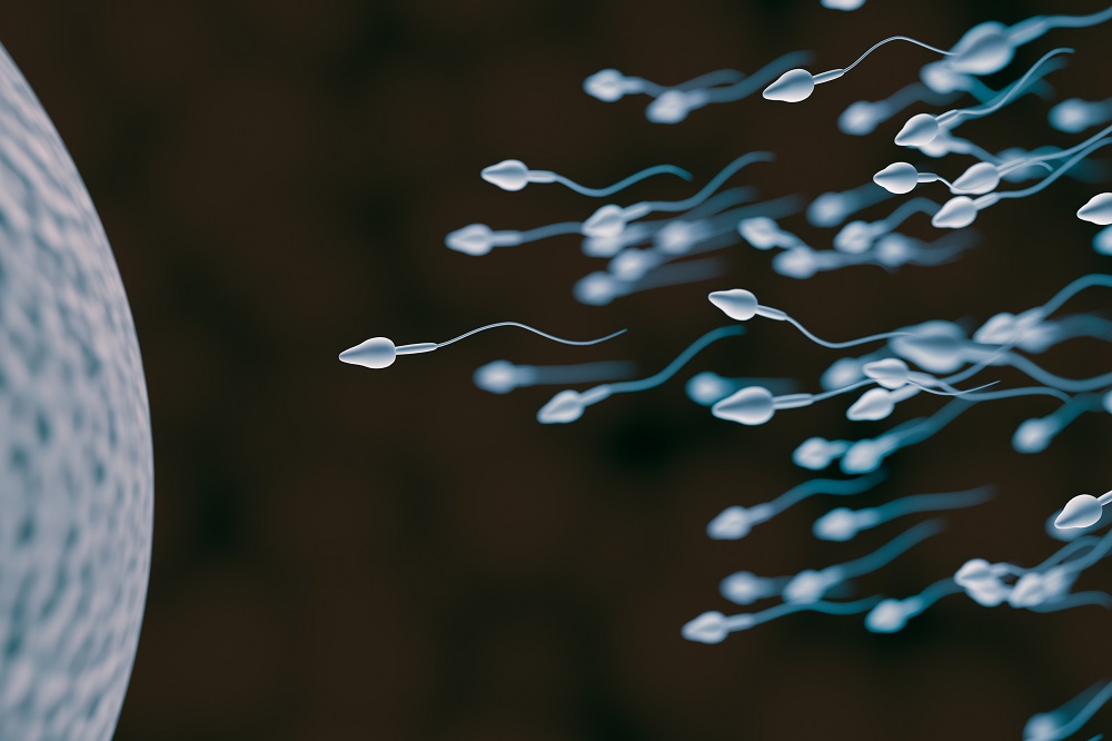 How to improve Low Sperm Count in Male