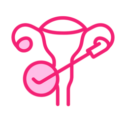 Hysteroscopic Surgeries