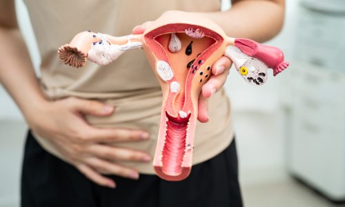 Fibroids During Pregnancy: Risks, Growth & Fertility Impact